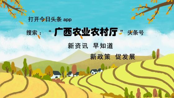 独臂羊倌撑起致富信念大山深处走出精彩人生路