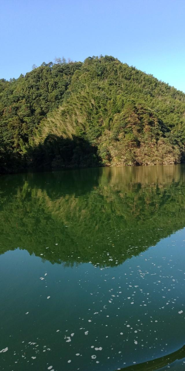 九州文学南京诗社作品,九州文学社作品