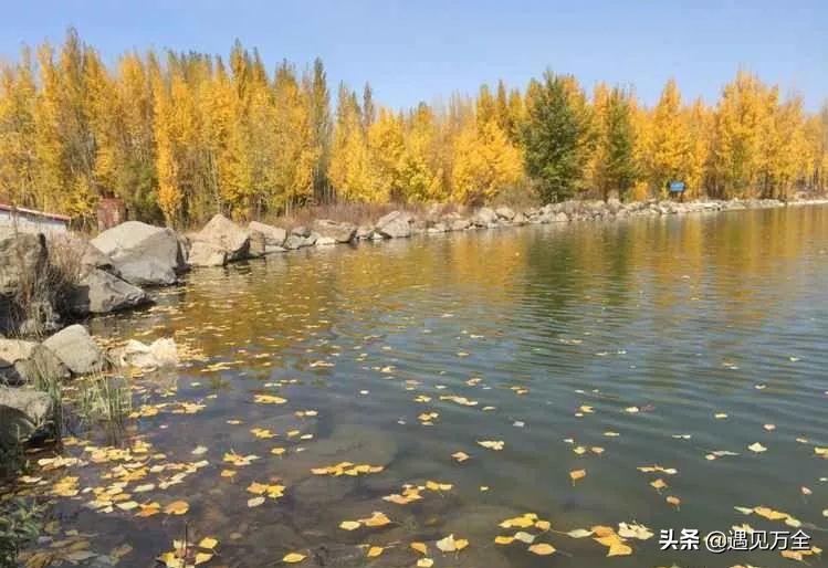 万全云松雾柳庄园钓鱼,云松雾柳庄园