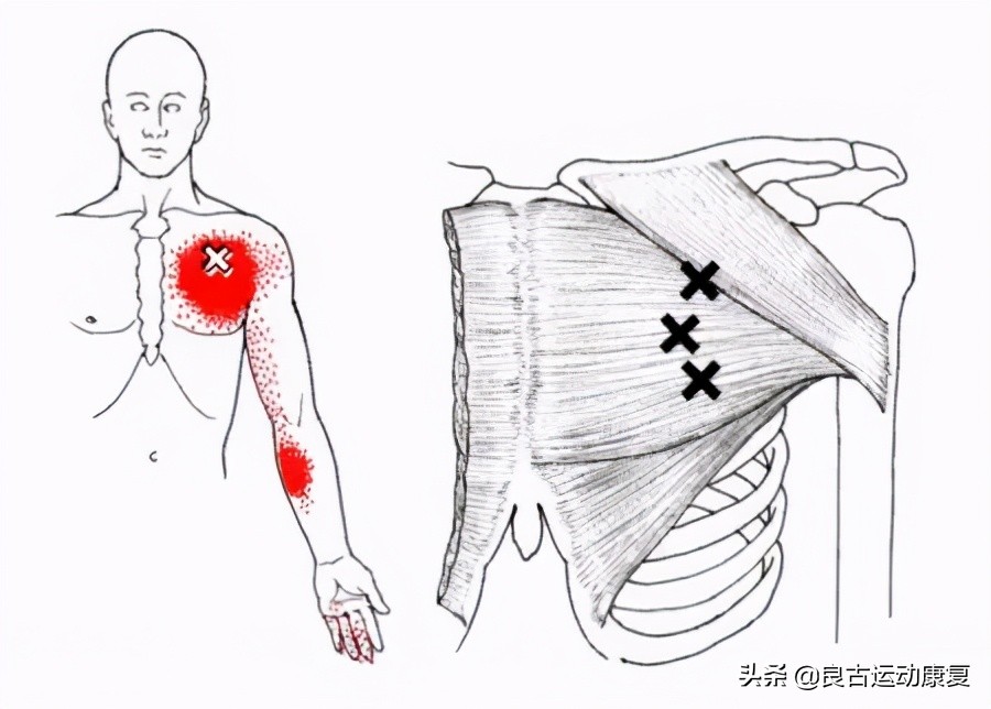 26张图教你提高效率,30张治愈效果图