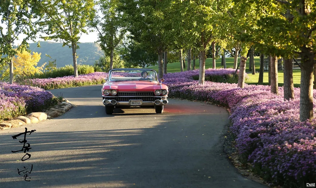 亦舒小说喜宝结局是什么 (为什么亦舒的书喜宝绝版了)