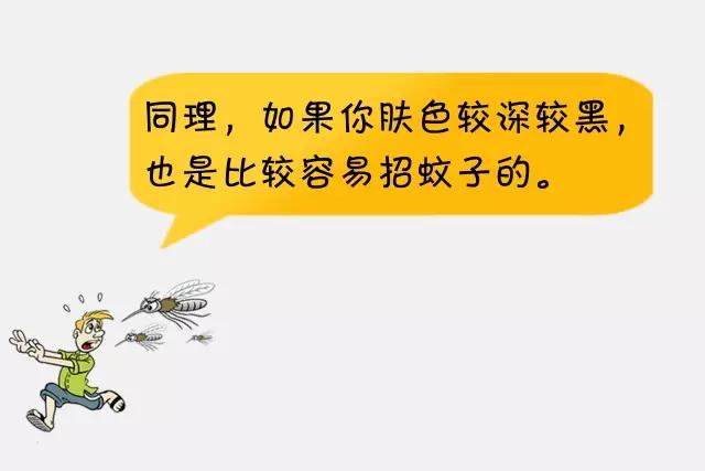 为何蚊子只咬你看完就明白了,蚊子咬人为什么越来越狠