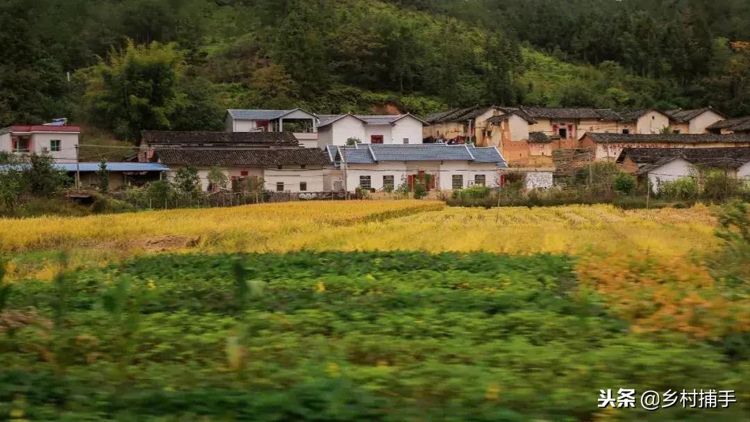 南粤古驿道平远站,平远县展览