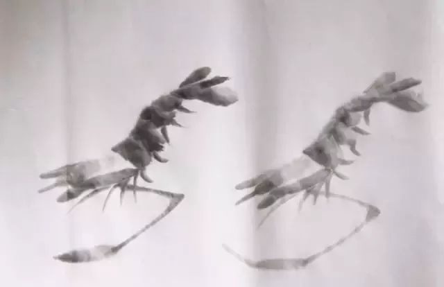 怎样画虾教学视频,铅笔画虾的步骤和方法