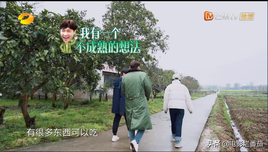 向往的生活2023会完结吗,向往的生活第七季怎么停更了