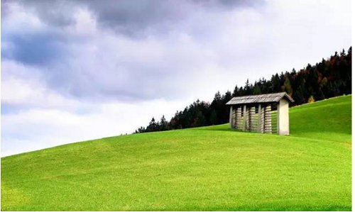 农村创业点子相关推荐,农村创业点子农村最缺什么生意