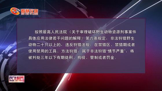 癞疙宝算不算动物,癞疙宝是国家保护动物吗