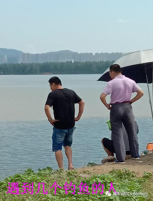 长沙月亮岛现状,长沙月亮岛整改现状