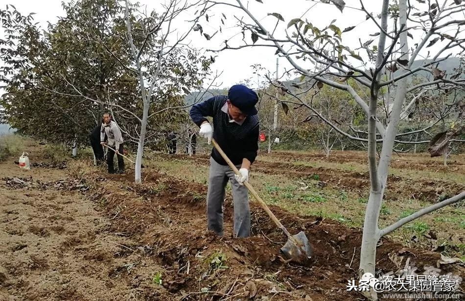 春季病虫害防治几月最佳,冬天怎样防治田间病虫害