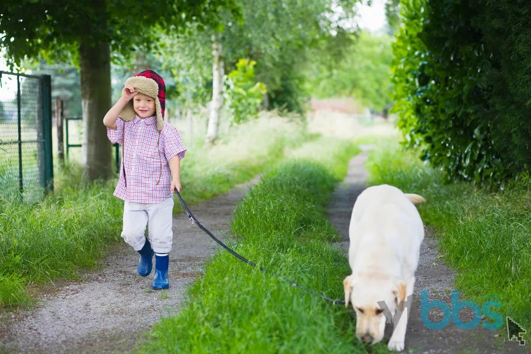 养犬不规范伤人,养犬不规范扰民伤和气