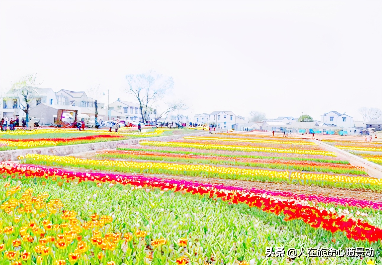 南京江宁区旅游必去的景点免费,南京江宁旅游攻略必去景点排名