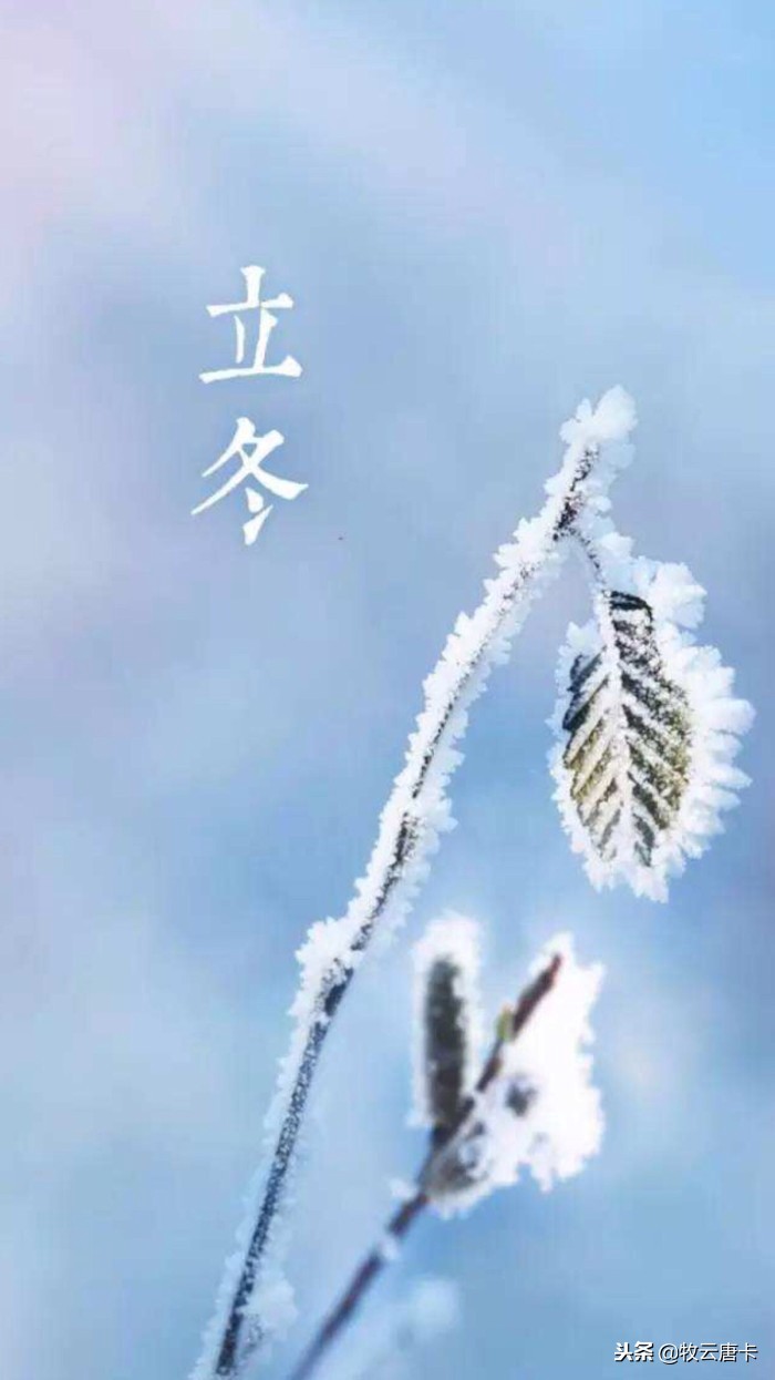 秋风吹尽旧庭柯黄叶,秋风吹尽旧庭柯全文