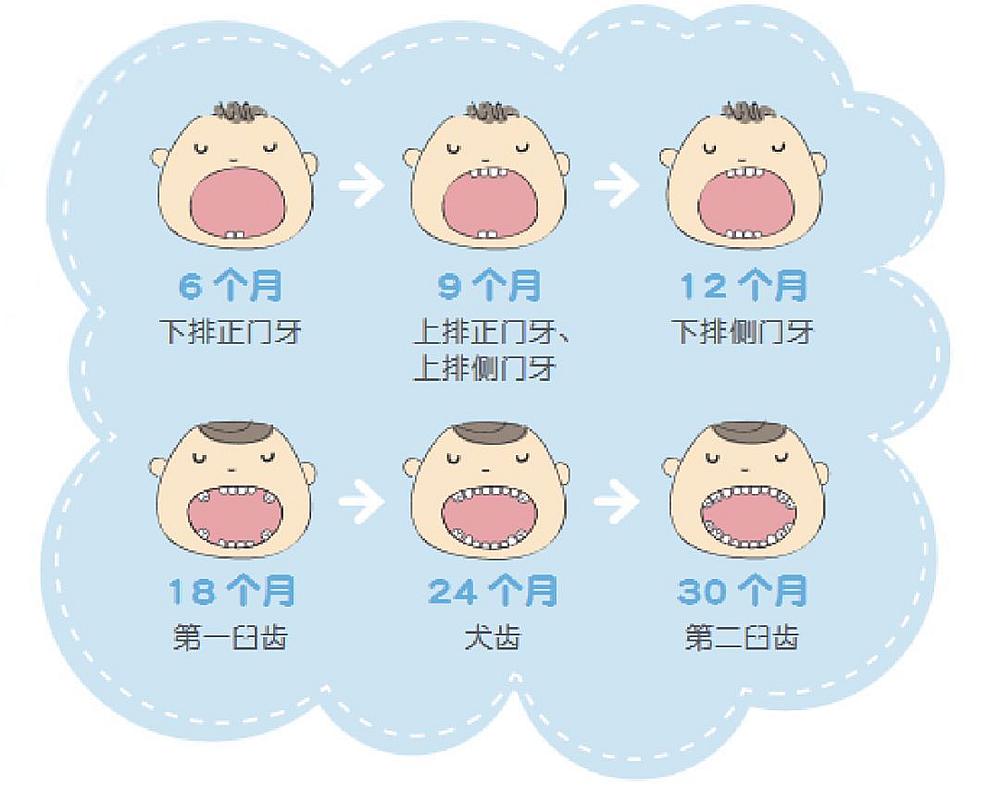 宝宝长牙顺序和关注事项,宝宝长牙顺序及征兆处理方法