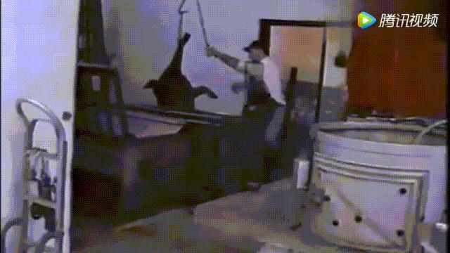 总统喊你来看片，这波硬核安利我吃了