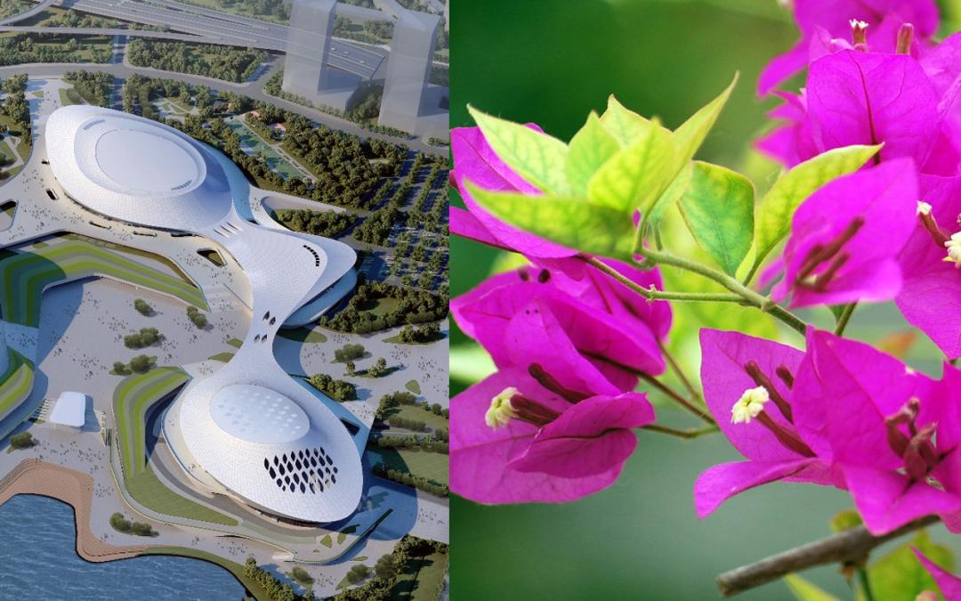 2023年亚洲杯体育场,厦门2023年亚洲杯比赛球场
