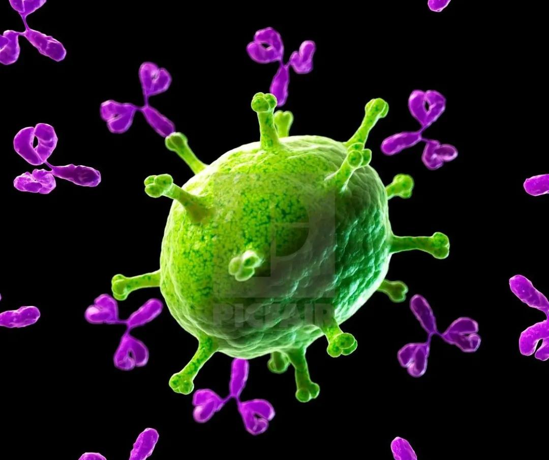 科普免疫系统是如何运作的,免疫系统是如何保护我们的