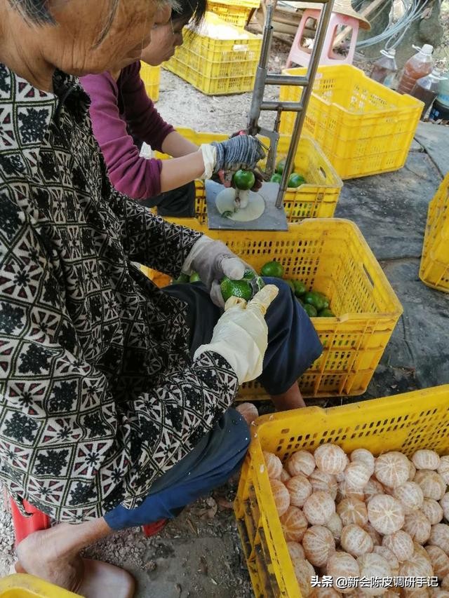 陈皮市场前景如何,新会陈皮市场