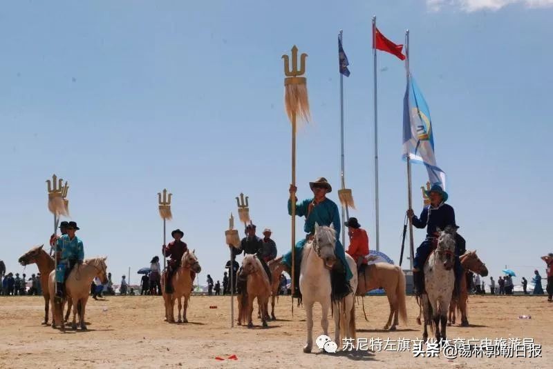 来苏尼特草原，看蒙古搏克超级联赛
