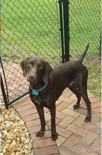 闻毒品味会有危害吗,闻毒品气味算吸毒吗