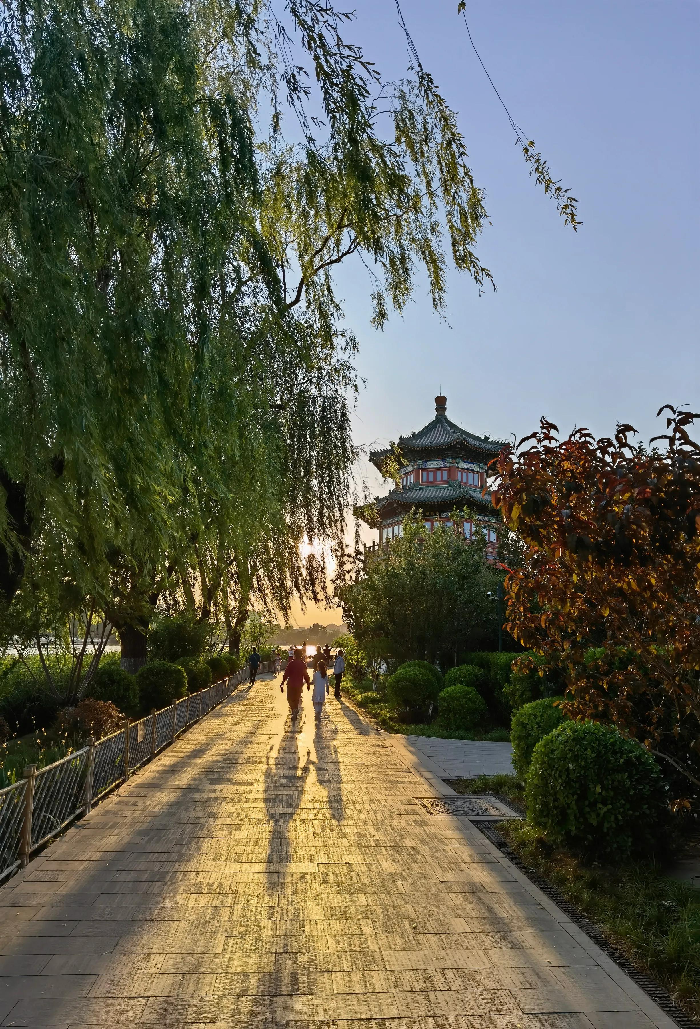 手拍世界（手机摄影平台）-群员作品集（总第671期）