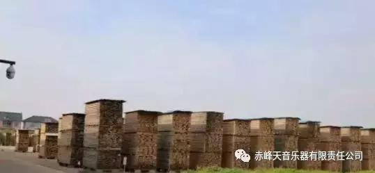 天音顶级车载音乐,雅马哈出过哪些乐器