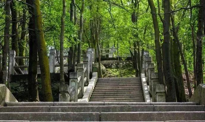 深圳有哪些公园可以免费开放,深圳十大免费主题公园