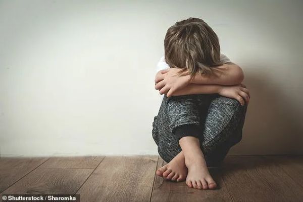 男子性侵3岁男童被捕现场,悉尼男子诱拐12岁女童被加控7宗罪