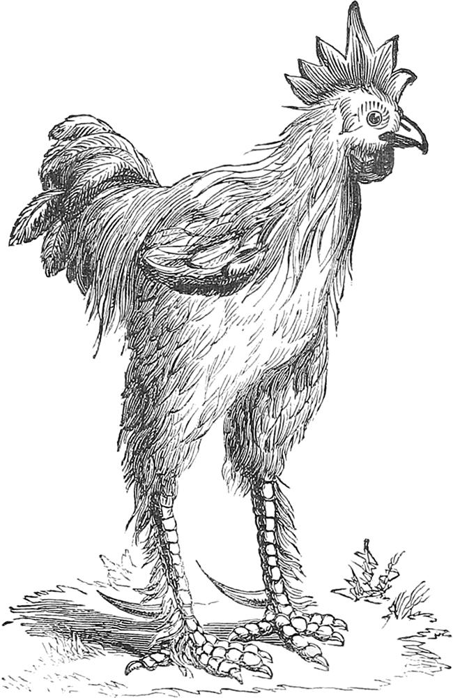 <html>
<head><title>502BadGateway</title></head>
<body>
<center><h1>502BadGateway</h1></center>
<hr><center>nginx</center>
</body>
</html>
<!--apaddingtodisableMSIEandChromefriendlyerrorpage-->
<!--apaddingtodisableMSIEandChromefriendlyerrorpage-->
<!--apaddingtodisableMSIEandChromefriendlyerrorpage-->
<!--apaddingtodisableMSIEandChromefriendlyerrorpage-->
<!--apaddingtodisableMSIEandChromefriendlyerrorpage-->
<!--apaddingtodisableMSIEandChromefriendlyerrorpage-->
