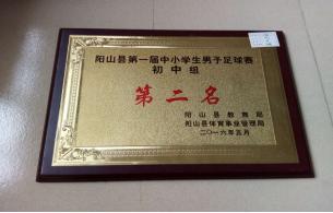 校园足球工作的效果,校园足球工作主要做法