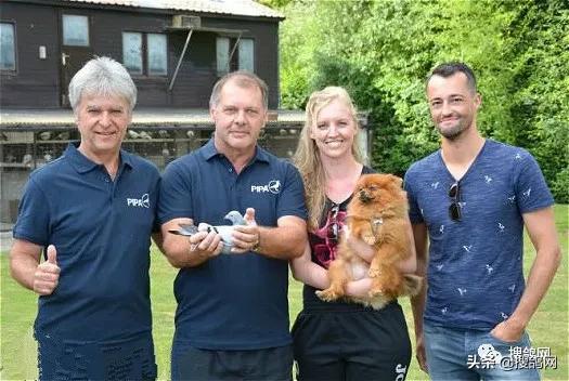 比利时爱力克·林伯格的超级种鸽战队