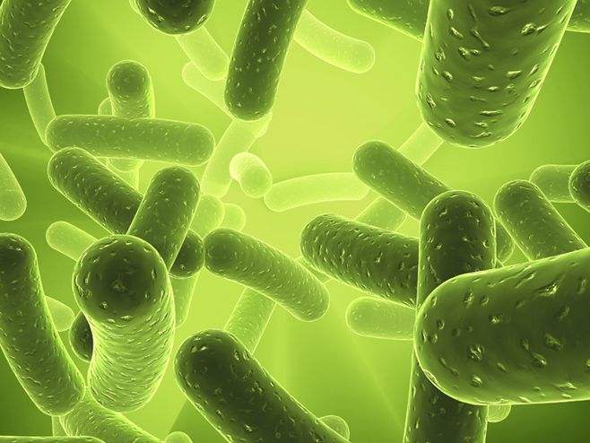 生物中考必背知识点人教版湖南,中考生物知识点讲解视频2021