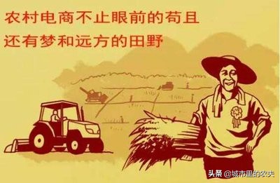 农村电商项目大概有哪些,关于农村电商的图片