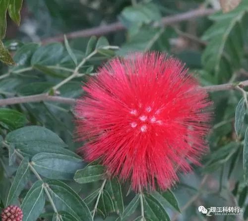 环境工程就业前景张雪峰,环境工程就业广吗