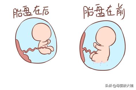 在孕早期孕妇应关注哪些问题,孕妈妈需警惕的产前几大症状