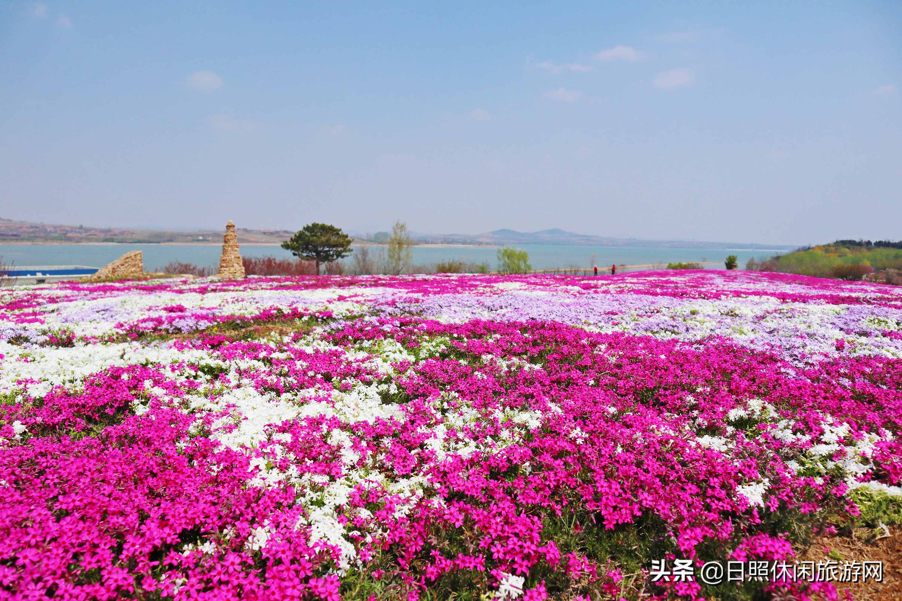 山东日照旅游4-5天详细攻略,去日照旅游应该住在哪里方便游玩