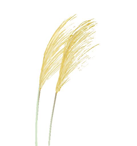 优微推荐｜致萌新，这些农大最美的地方，你发现了吗