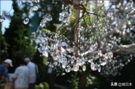 我们不一样国外的歌曲,我们不一样日立电梯