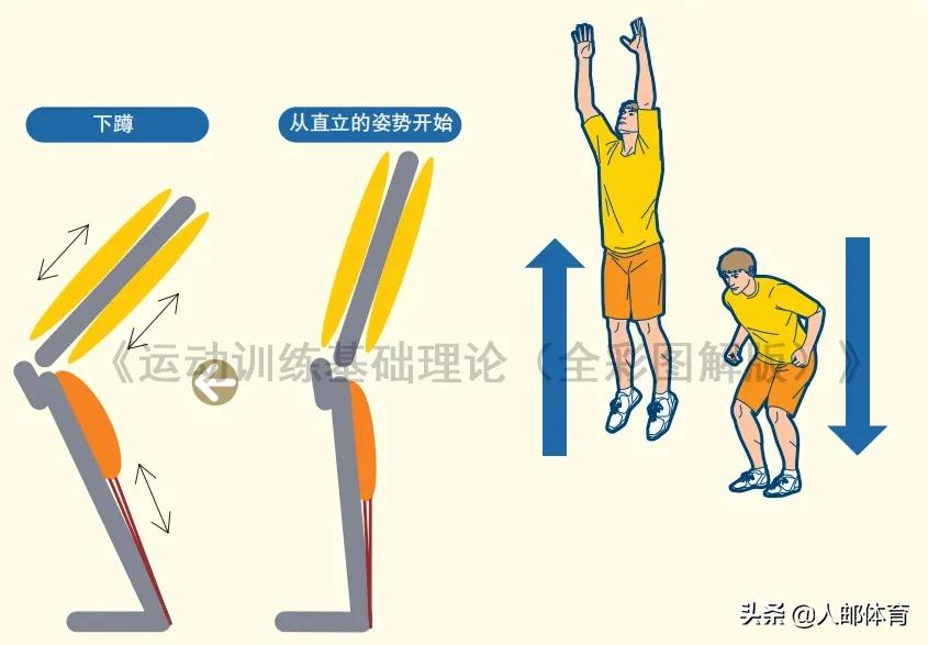 快速伸缩复合训练与爆发力的区别,快速伸缩复合训练的热身
