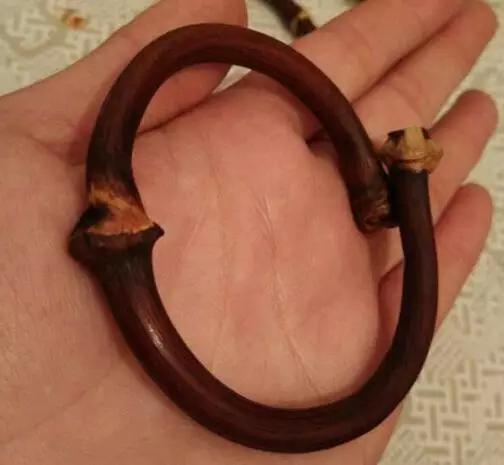 等疫情结束了我想回安徽,等疫情结束了我想放个长假