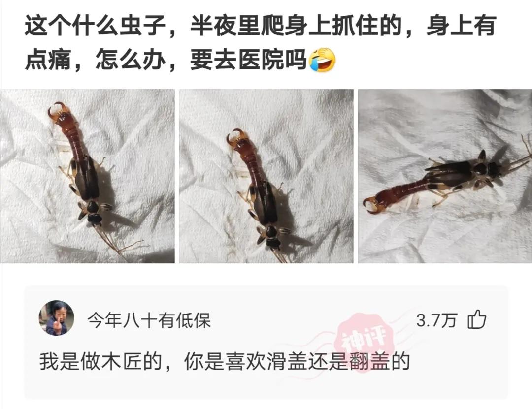 女朋友姨妈来了你最感动的语句,女生来姨妈男生暖心的一段话