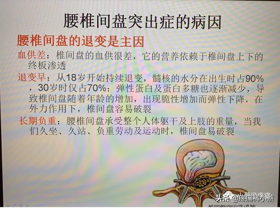 蔡主任讲座视频,蔡主任团队