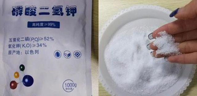 磷酸二氢钾讲解,最全磷酸二氢钾使用技术