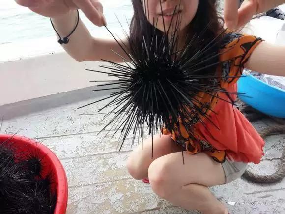 海南渔民整理的海鲜大全,渔民海鲜介绍