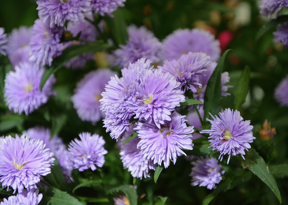 当男人沉默的时候，女人这样做，他会更爱你