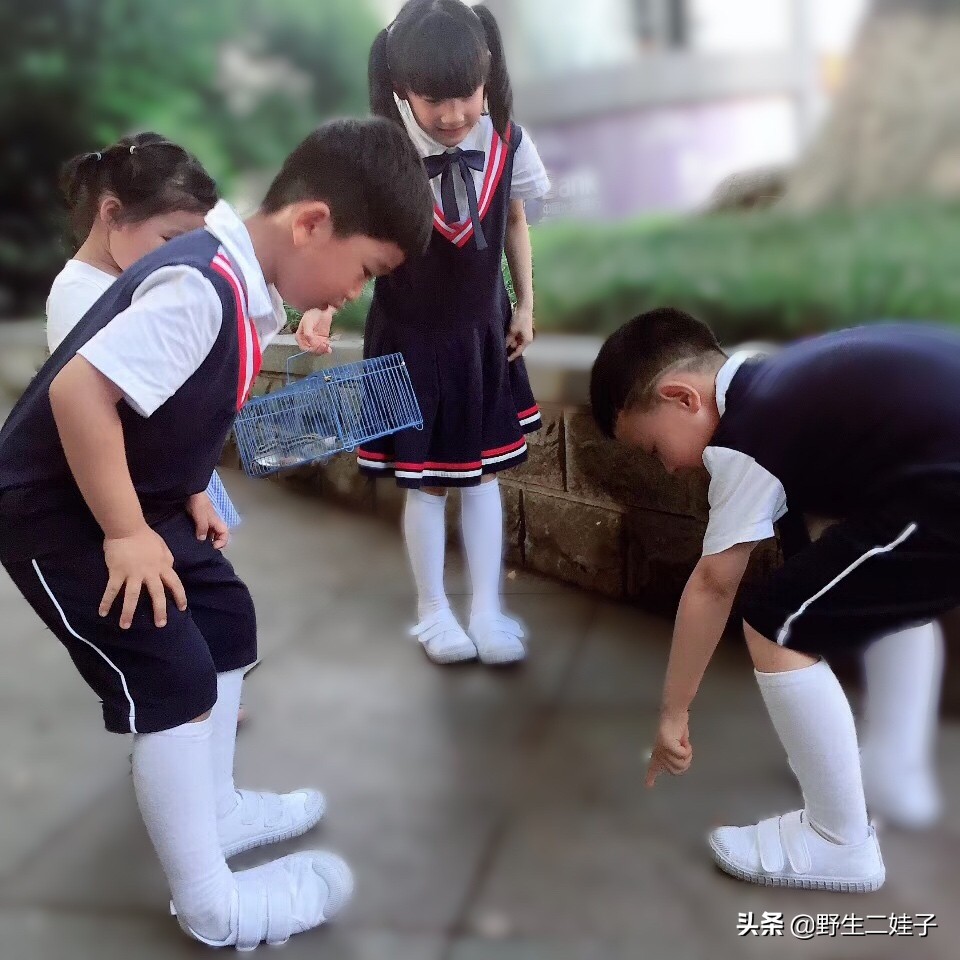幼儿园放学后的一天,幼儿园放学后的快乐时光