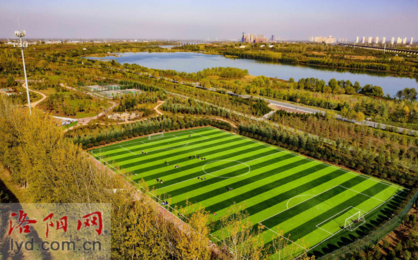 洛阳免费球场官网,洛阳王城球场