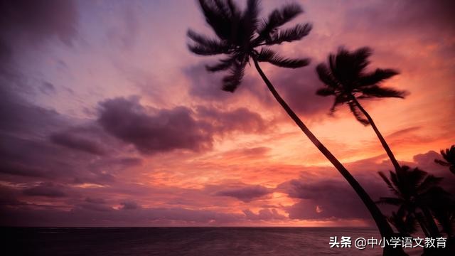 三年级下册语文易读错的字,语文常识1000题