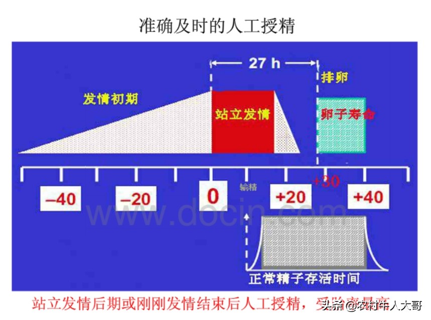 牛场管理技术方法,大型牛场管理方案