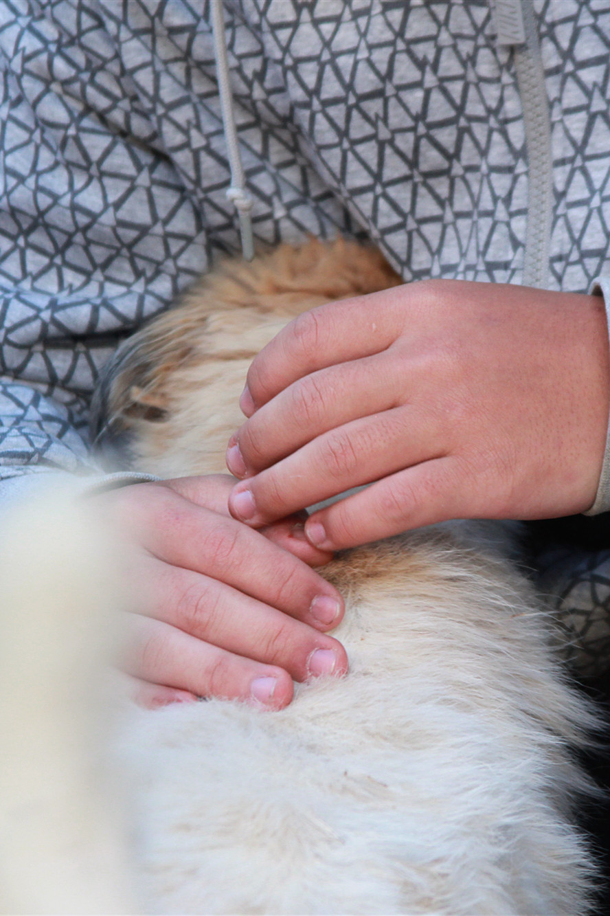 每一个生命都需要被尊重和善待,每一个生命都要被尊重被温暖