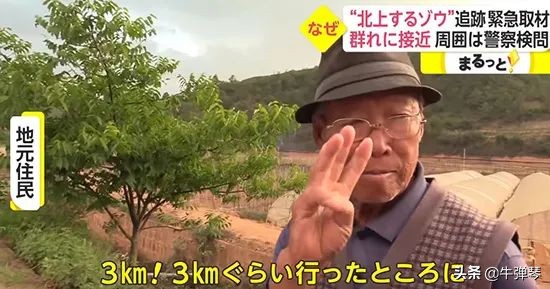 中国宣传片大国风光简短,最新中国风景宣传片